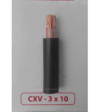 CADIVI CXV 3x10mm