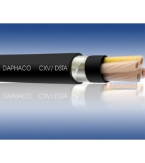 CXV/DSTA - Cáp ngầm + Giáp băng kim loại
